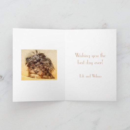 Schnole Birthday Folding Kaart (Binnen)