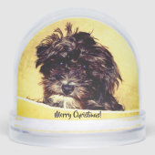 Schnole Sneeuwbol (Voorkant)