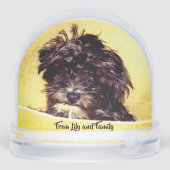 Schnole Sneeuwbol (Achterkant)