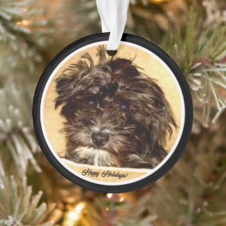 Schnoodle Acryl Cirkel Ornament