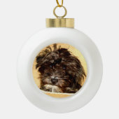 Schnoodle Bal Ornament (Voorkant)