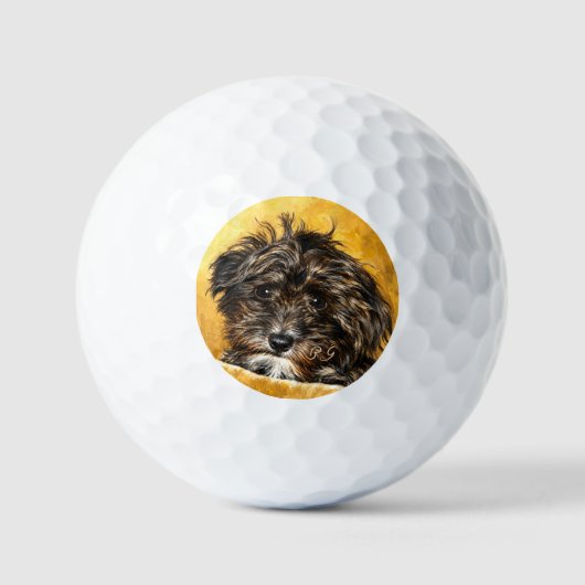 Schnoodle Coasters Golfballen (Voorkant)