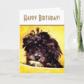 Schnoodle Dog Bright Birthday Kaart (Voorkant)