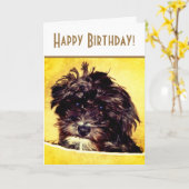 Schnoodle Dog Bright Birthday Kaart (Gele Bloem)