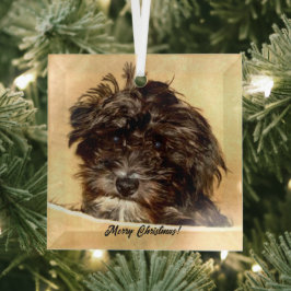 Schnoodle Dog Glass Ornament
