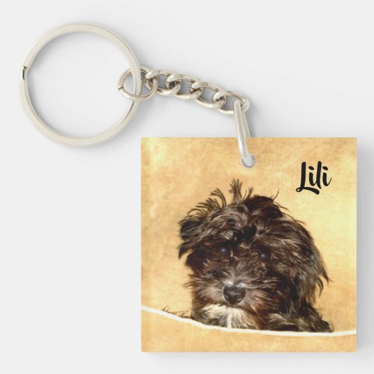 Schnoodle Hond Dubbelzijdig Sleutelhanger (Voorkant)