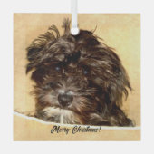 Schnoodle hond glazen kerstbal glas ornament (Voorkant)