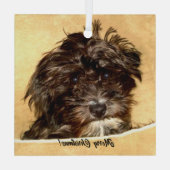 Schnoodle hond glazen kerstbal glas ornament (Achterkant)