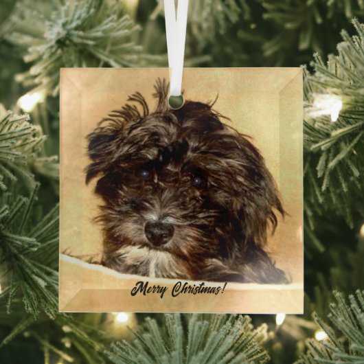 Schnoodle hond glazen kerstbal glas ornament (Insitu)