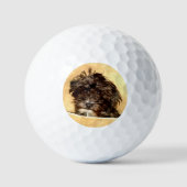 Schnoodle hond golfballen (Voorkant)