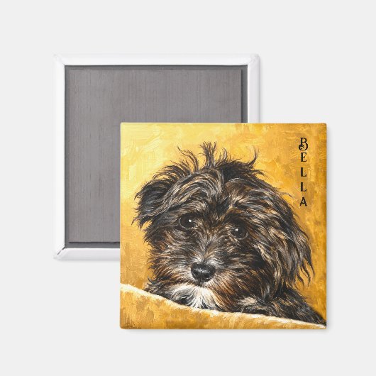 Schnoodle hond magneet (Voorkant / Achterkant)