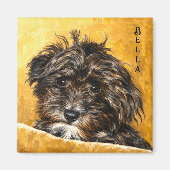 Schnoodle hond magneet (Voorkant)