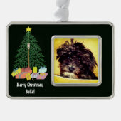 Schnoodle-hond met kerstboom omlijst ornament (Voorkant)