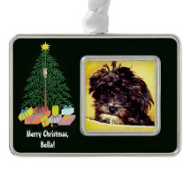 Schnoodle-hond met kerstboom omlijst ornament