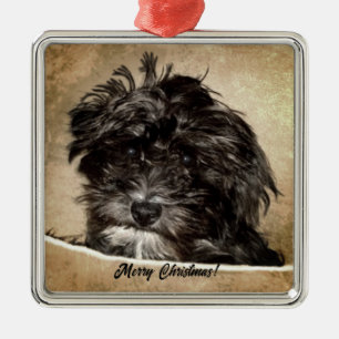 Schnoodle hond metalen ornament