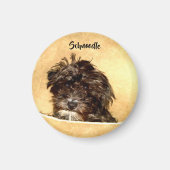 Schnoodle hond ronde magneet (Voorkant)