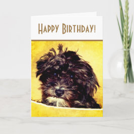 Schnoodle-hond verjaardagskaart kaart