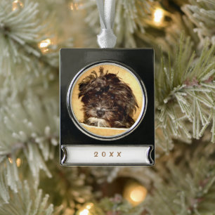 Schnoodle-hondenbannerornament Verzilverd Banner Ornament