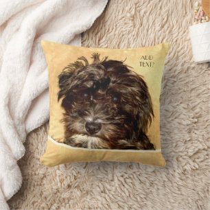 Schnoodle hondenkussen met tekst kussen