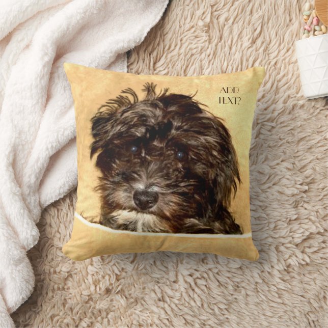 Schnoodle hondenkussen met tekst kussen (Deken)