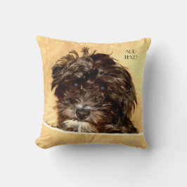 Schnoodle hondenkussen met tekst kussen