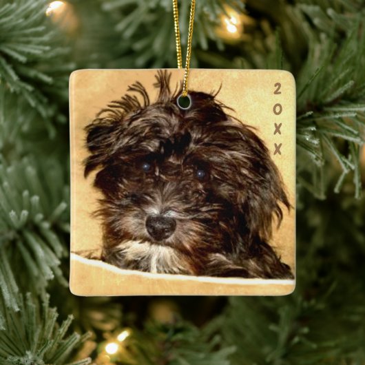 Schnoodle keramische ornament (Boom)
