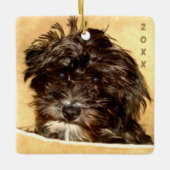 Schnoodle keramische ornament (Voorkant)