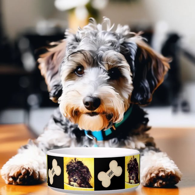 Schnoodle Middelmaat Hondenbak Persoonlijk Voerbakje (Creator heeft geüpload)