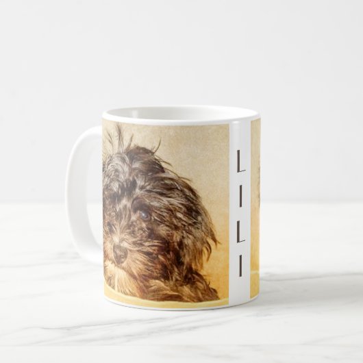 Schnoodle Mok (Voorkant links)