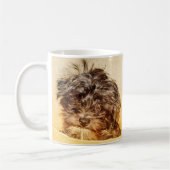 Schnoodle Mok (Links)