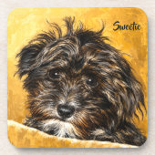 Schnoodle Onderzetters (Voorkant)