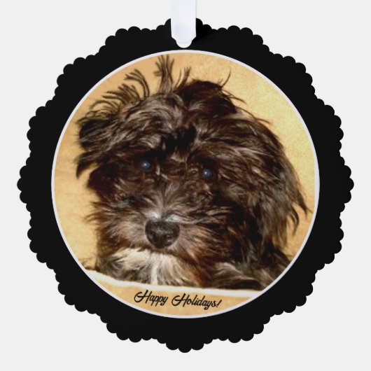 Schnoodle Papier Ornament Kaart (Voorkant)