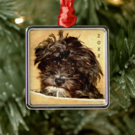 Schnoodle Premium Vierkantige Ornament