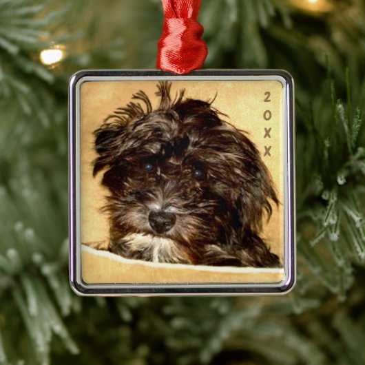 Schnoodle Premium Vierkantige Ornament (Boom)