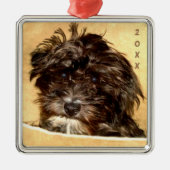 Schnoodle Premium Vierkantige Ornament (Voorkant)