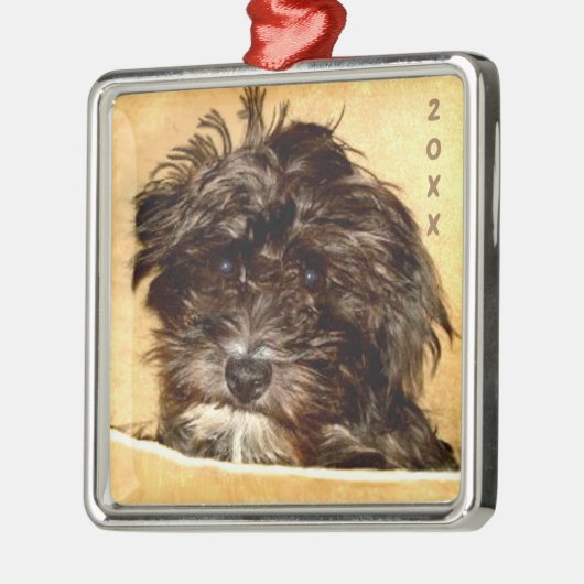 Schnoodle Premium Vierkantige Ornament (Links)