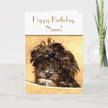 Schnoodle Verjaardag Aanpasbare Tekstkaart