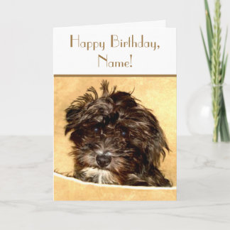 Schnoodle Verjaardag Aanpasbare Tekstkaart Kaart