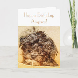 Schnoodle verjaardagskaart om te vouwen kaart