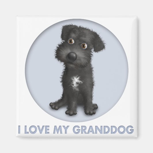 Schnoodle (zwart) Granddog Magneet (Voorkant)