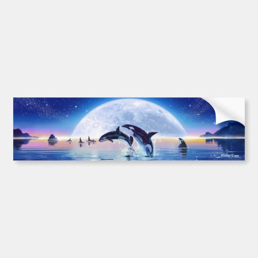 Schoal orka's bumpersticker (Voorkant)