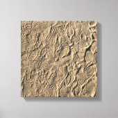 Schoen prints in het Zand (Voorkant)