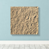 Schoen prints in het Zand (Insitu (Houten vloer))