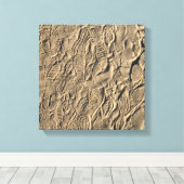 Schoen prints in het Zand (Insitu (Houten vloer))