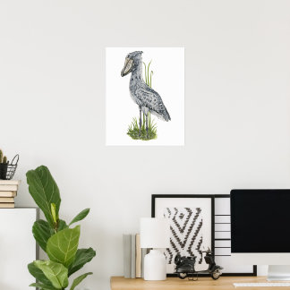 Schoenbekooievaar Kunstprint Poster