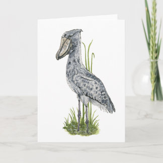 Schoenbekooievaar Vogel Wenskaart Feestdagen Kaart