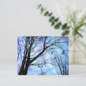 Schoenboom Briefkaart (Staand voorkant)