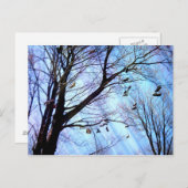 Schoenboom Briefkaart (Voorkant / Achterkant)