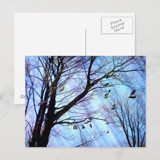 Schoenboom Briefkaart (Voorkant / Achterkant)