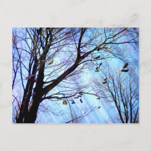 Schoenboom Briefkaart